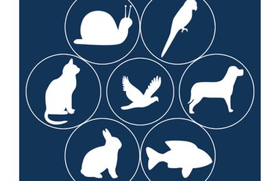 Animals image by Msd from Fotolia.com