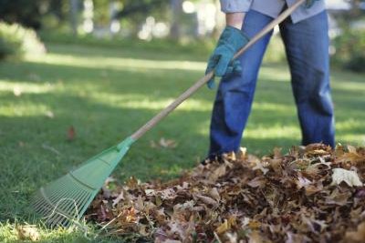 do leaves decompose on their own