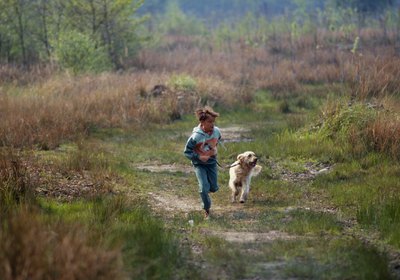 Outdoor Plants That Are Poisionous to Dogs