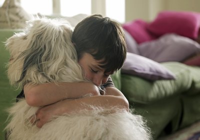 How Does a Dog Microchip Work?