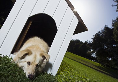 How to Make a Dog House With an Opening Roof