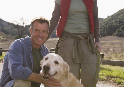 Things to Do to Make Your Dog Stay With No Leash
