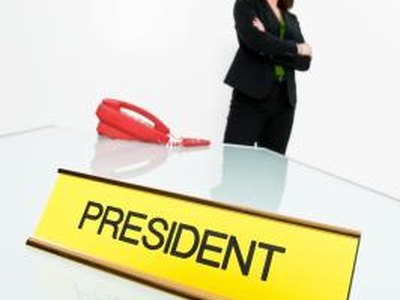 What Title Do I Use if I Am the Head of an LLC? What Title Do I Use if I Am the Head of an LLC?