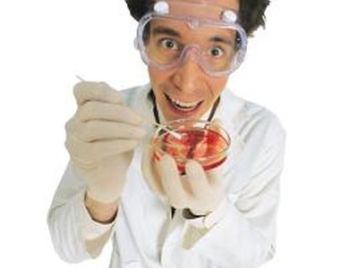 What Do I Do if My Patent Lapses? What Do I Do if My Patent Lapses?