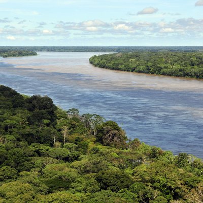 How to Go to the Amazon Rainforest | USA Tod