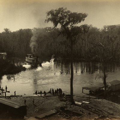 silver springs florida rv campgrounds near spring marion gathered shore showing photograph county