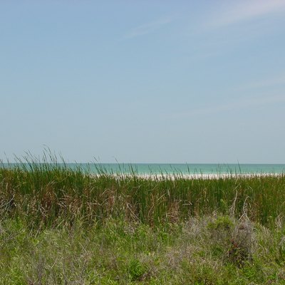 Hotels Near Honeymoon Island In Florida Usa Today