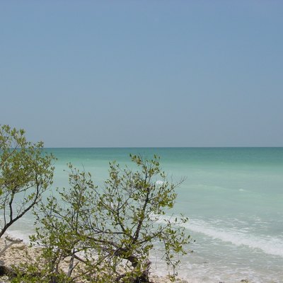 Hotels Near Honeymoon Island In Florida Usa Today