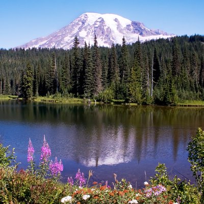Pet Friendly Hotels Around Mt. Rainier | USA Today Pet Friendly Hotels Around Mt. Rainier | USA Today