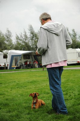 training-the-dog image by Ivonne Wierink from Fotolia.com Clickers can be good dog training tools.