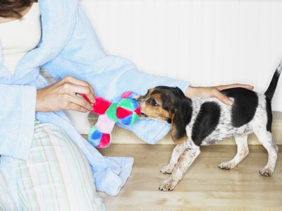 Digital Vision./Photodisc/Getty Images A variety of toys to play with can prevent undesired behavior.