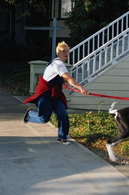 Ryan McVay/Stockbyte/Getty Images Let your dog pull something besides you on a walk.