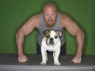 Digital Vision./Photodisc/Getty Images The canine muscular system plays an important role in organ functioning.