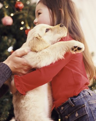 Digital Vision./Photodisc/Getty Images Picking up a dog the wrong way can be uncomfortable and dangerous for him.