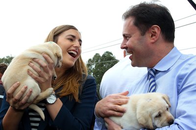 Lisa Maree Williams/Getty Images News/Getty Images Don't accidentally drop your puppy when cuddling him -- this could cause a fracture or broken bone.