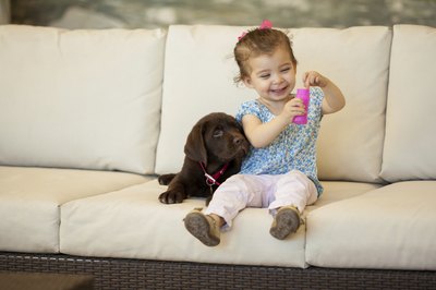 Antonio_Diaz/iStock/Getty Images Let your dog sniff the baby's blanket or used clothes before they meet.
