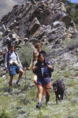 Steve Mason/Photodisc/Getty Images Check your dog for fleas and ticks after hiking to prevent typhus.