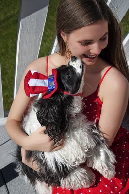 Stephanie Zieber/iStock/Getty Images Spaniels tend to be affectionate dogs, happiest with their families.