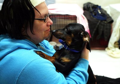 Alex Wong/Getty Images News/Getty Images Try to bond with the dog at the shelter.