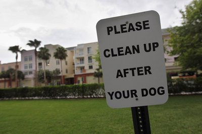 Joe Raedle/Getty Images News/Getty Images Picking up feces reduces the risk of your dog ingesting parasites of viruses.