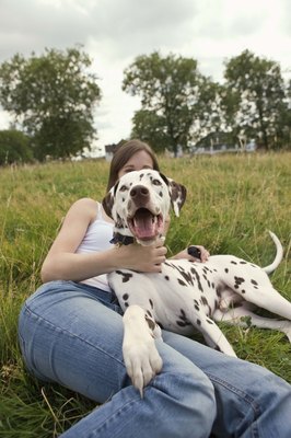 Jupiterimages/Polka Dot/Getty Images Burn off your dog's energy with fun games and puzzles.