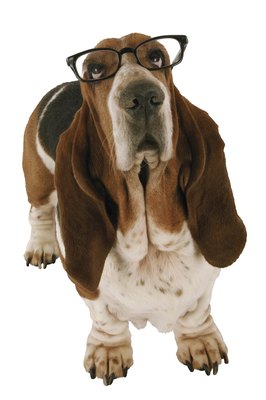 Comstock Images/Comstock/Getty Images You have a few ways to tell if your dog is having vision problems.
