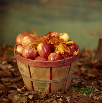 Creatas Images/Creatas/Getty Images Apples are a good snack for puppies when the seeds are removed, and they are given in small quantities.
