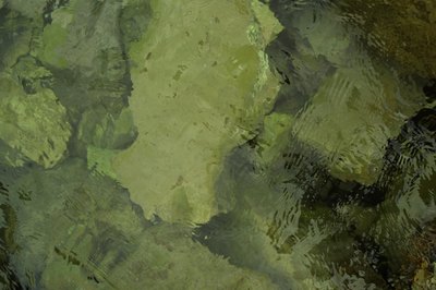 Hemera Technologies/AbleStock.com/Getty Images Seaweed is packed with valuable mineral and nutrients.