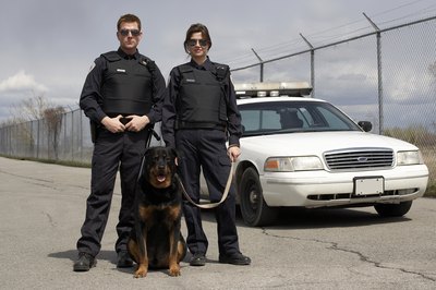 Jupiterimages/Photos.com/Getty Images Rottweilers often work alongside security professionals.