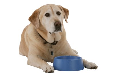 Comstock Images/Stockbyte/Getty Images Flimsy plastic bowls tempt spillages.