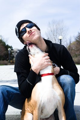 Jupiterimages/Photos.com/Getty Images Dogs sometimes lick to show affection or seek attention.
