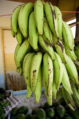 Jupiterimages/Photos.com/Getty Images Plantains are not a doggie threat.