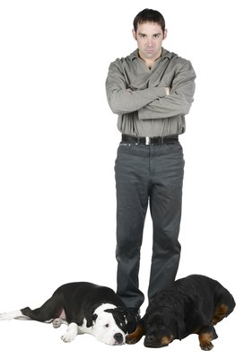Hemera Technologies/PhotoObjects.net/Getty Images Raising two dogs together is more challenging than you may realize.