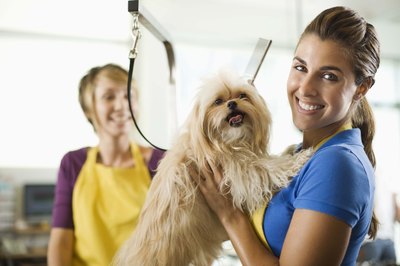 Jupiterimages/Brand X Pictures/Getty Images A good grooming and clipping should feel good for your dog.
