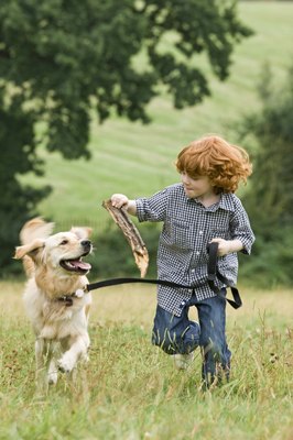 Jupiterimages/Polka Dot/Getty Images It's essential that the dog bonds with the whole family.