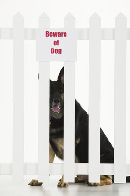 Comstock Images/Comstock/Getty Images Fences that let your dog see outside can enhance his aggression.