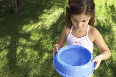 Maria Teijeiro/Photodisc/Getty Images Fresh drinking water is essential for lots of critters.