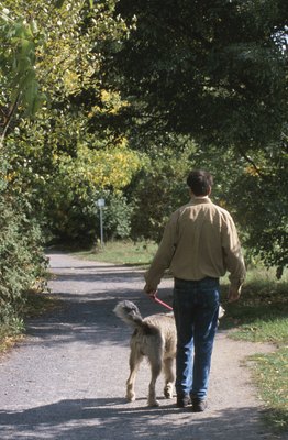 Hemera Technologies/AbleStock.com/Getty Images Picking up after your dog keeps the parks clean while reducing infection risk.