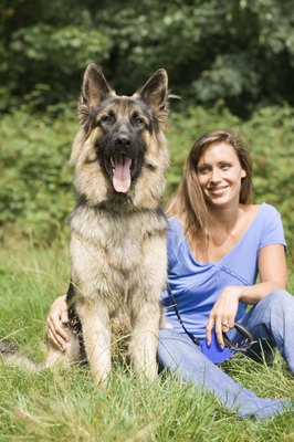 Jupiterimages/Polka Dot/Getty Images Understanding large breed conditions enables proactive care for your new friend.