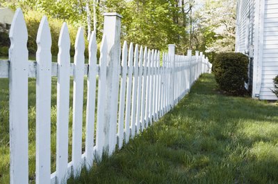 Jupiterimages/Stockbyte/Getty Images Since these dogs often wander, fenced yards are important.