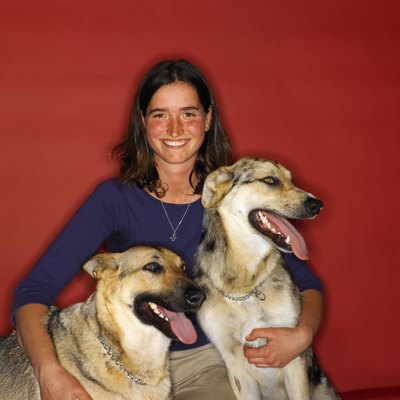 Ciaran Griffin/Stockbyte/Getty Images Be the leader of your doggies' pack.