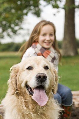 Jupiterimages/Polka Dot/Getty Images An adopted dog is a happy dog.