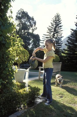 Pixland/Pixland/Getty Images A few simple strategies can help to keep dogs out of your garden.