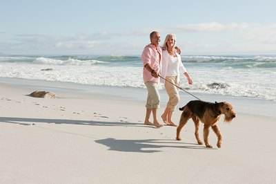 Image Source/Digital Vision/Getty Images A monthly Revolution application protects your best buddy from various pests.