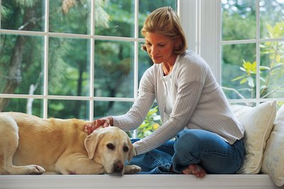 Comstock/Stockbyte/Getty Images Stringent sanitation practices eliminate most illnesses from reputable boarding facilities.