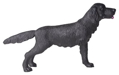 Hemera Technologies/PhotoObjects.net/Getty Images Your dog's hock structure includes the calcaneus and the calcaneal tendon.