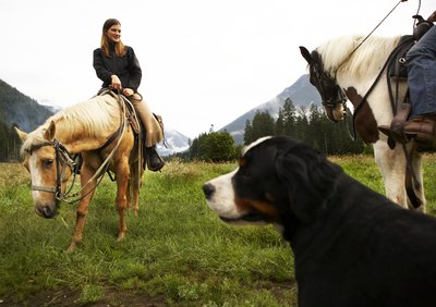 Thomas Northcut/Photodisc/Getty Images Heartworm is transmitted via mosquito bites, so your dog should receive preventive medication whenever mosquitoes are active.