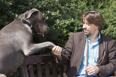 Jupiterimages/Polka Dot/Getty Images Teaching your dog to "shake" is a crowd pleaser.