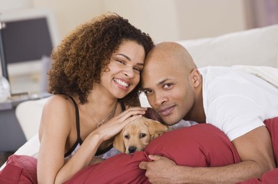 Jupiterimages/Comstock/Getty Images Training pads can prove successful for potty training your puppy.