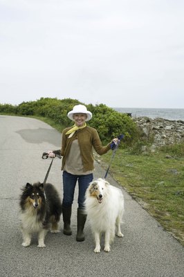 Jupiterimages/Brand X Pictures/Getty Images Use standard leashes (not the retractable kind) when training your dogs to walk on leash properly.